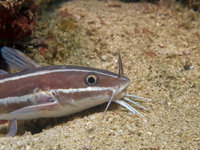 Manila Channel [ 16 images ]